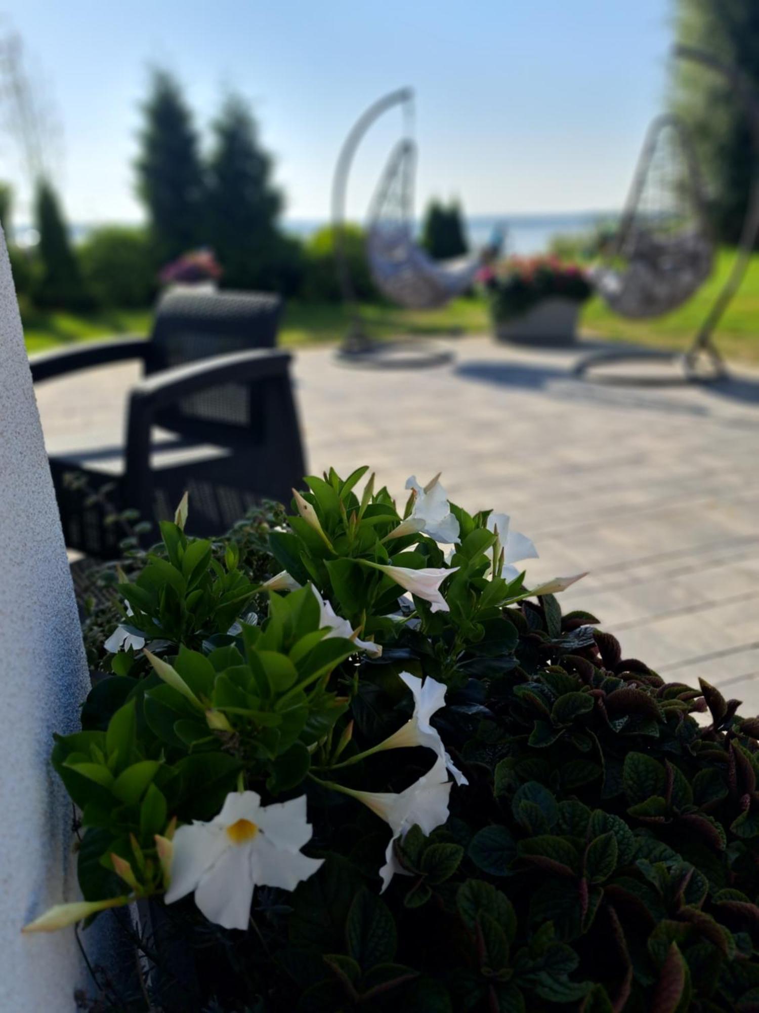 Solek Apartamenty I Pokoje Goscinne Mielno  Bagian luar foto