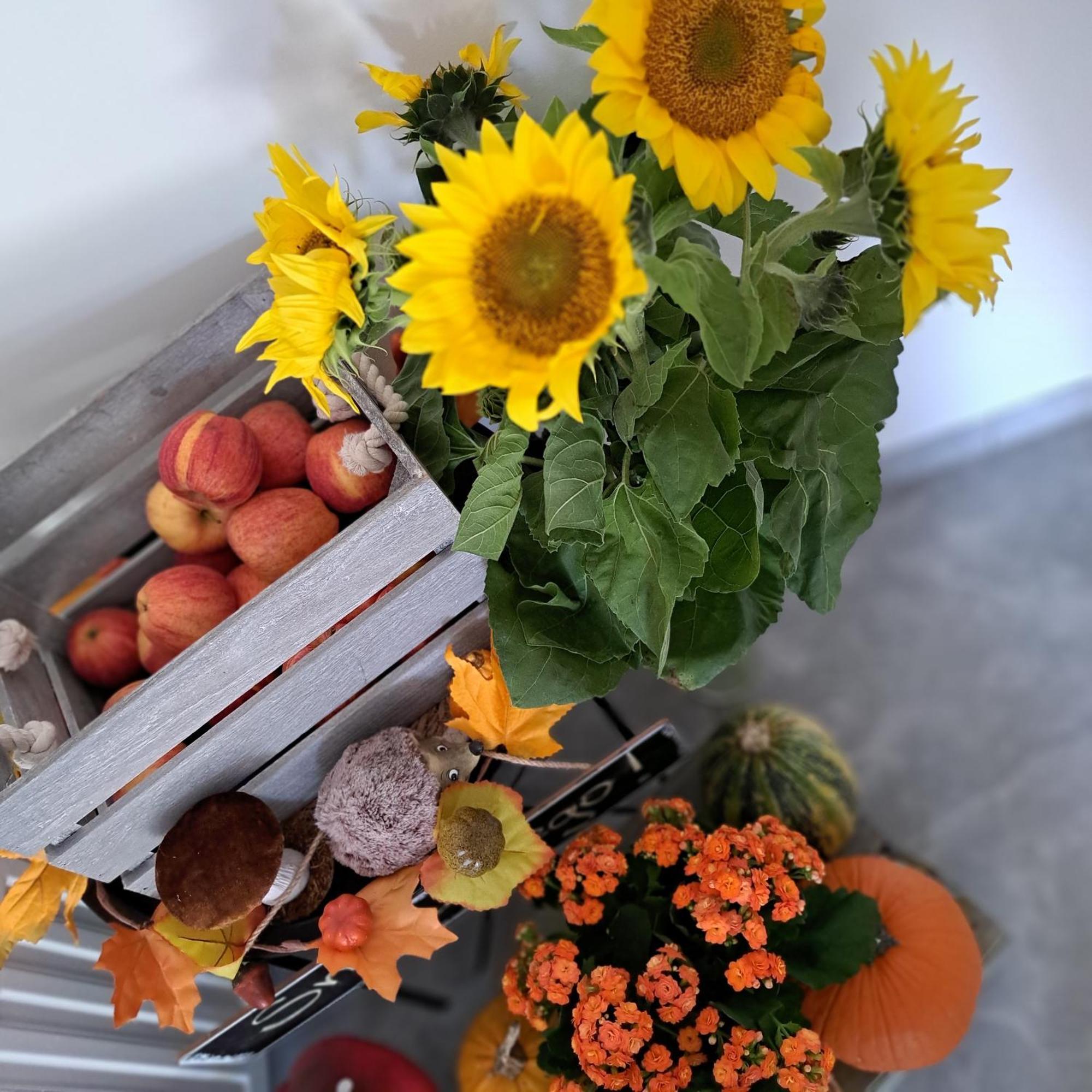 Solek Apartamenty I Pokoje Goscinne Mielno  Bagian luar foto